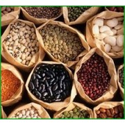 Насіння овочів